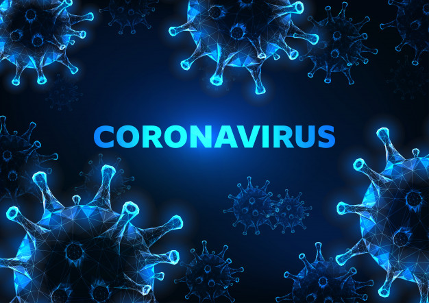 O novo coronavírus (SARS-CoV-2)
